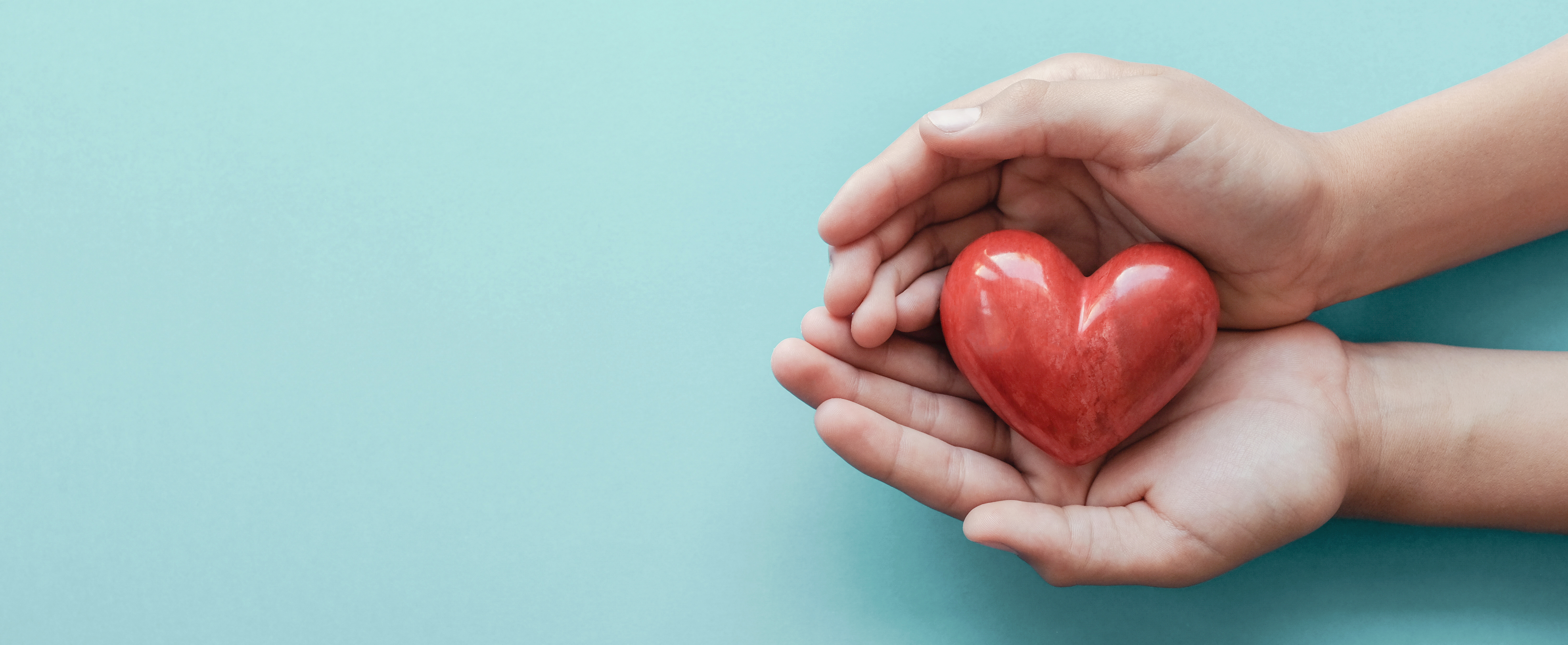 hands holding a heart shaped object