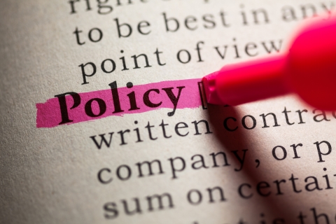 Words on a textbook page with the word policy highlighted