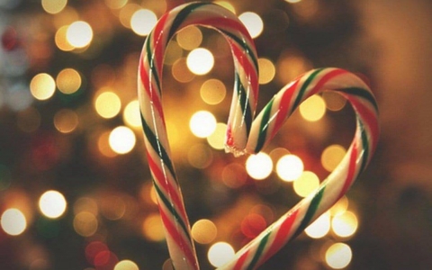 candy cane and holiday lights