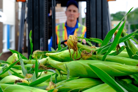 Feed Nova Scotia staff person moving corn on a fork lift