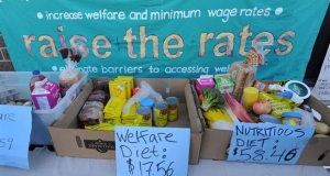 two boxes of food, one indicates a welfare diet, the other a nutritious diet